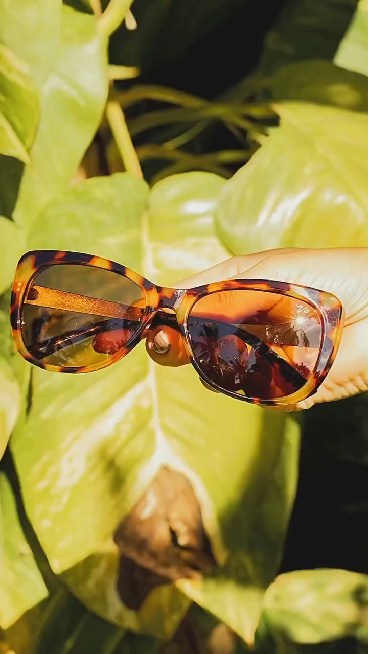 video-capture-0.57seg-4801